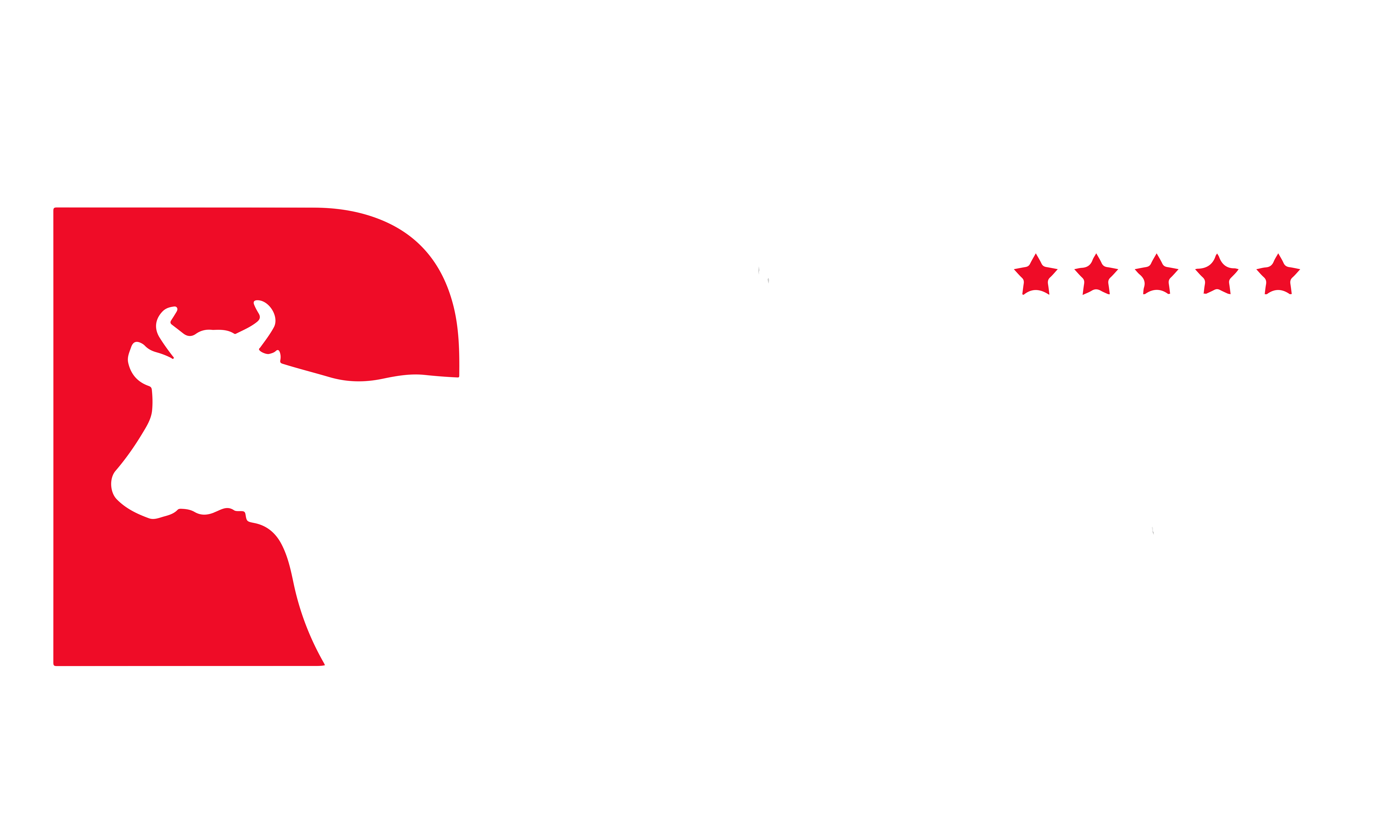 Dupina Logo Colorido